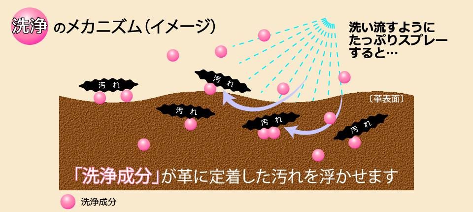  《洗浄》メカニズム（イメージ）