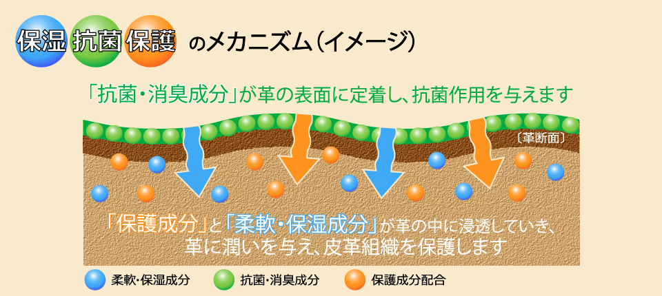 《保湿・抗菌・保護》メカニズム（イメージ）