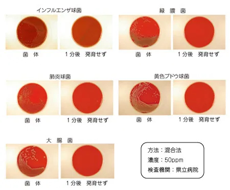 ■感染の主たる原因となる菌に対する分解力