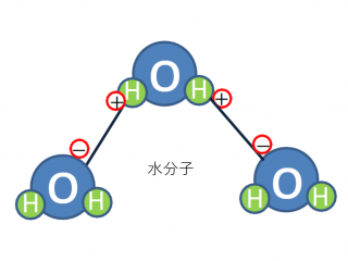 水分子